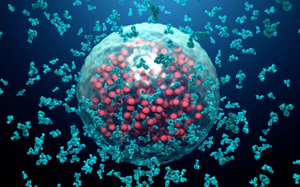 Glutathione and the Immune System