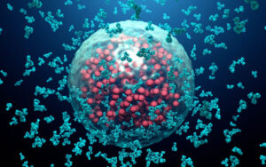 Glutathione and the Immune System