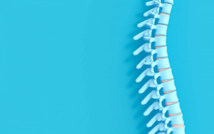 Vitamins For Bones
