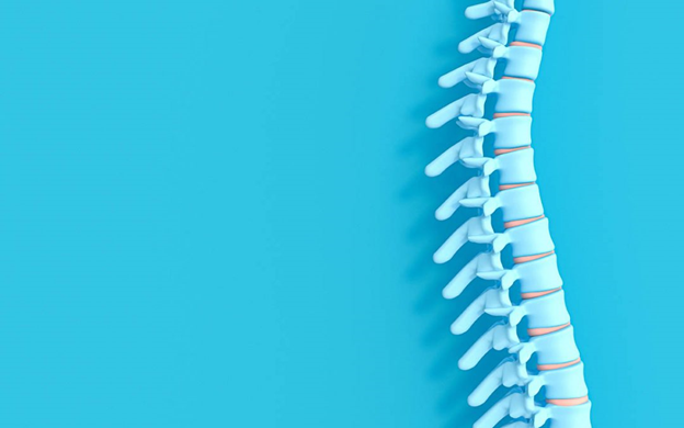 Vitamins For Bones