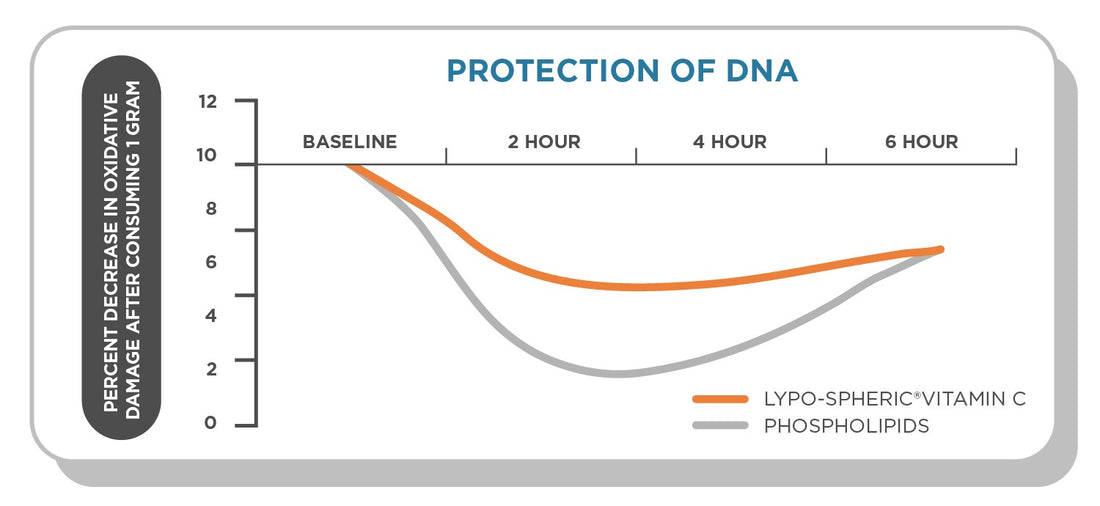 Graph: long-lasting antioxidant effect of liposomal vitamin C in the body