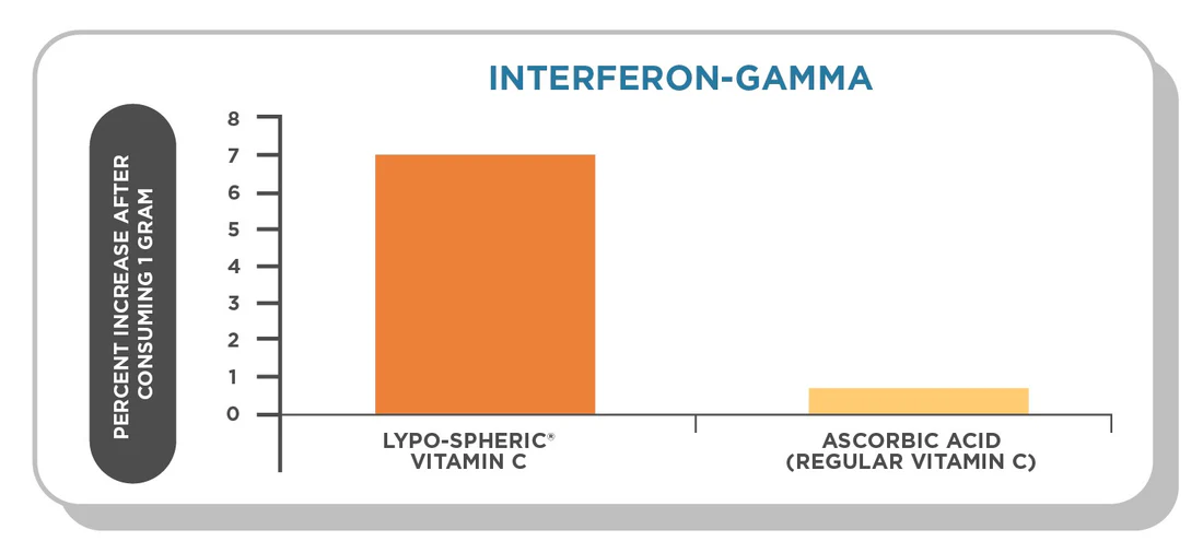 Vitamin C immune system support — clinical data showing immune cell activity