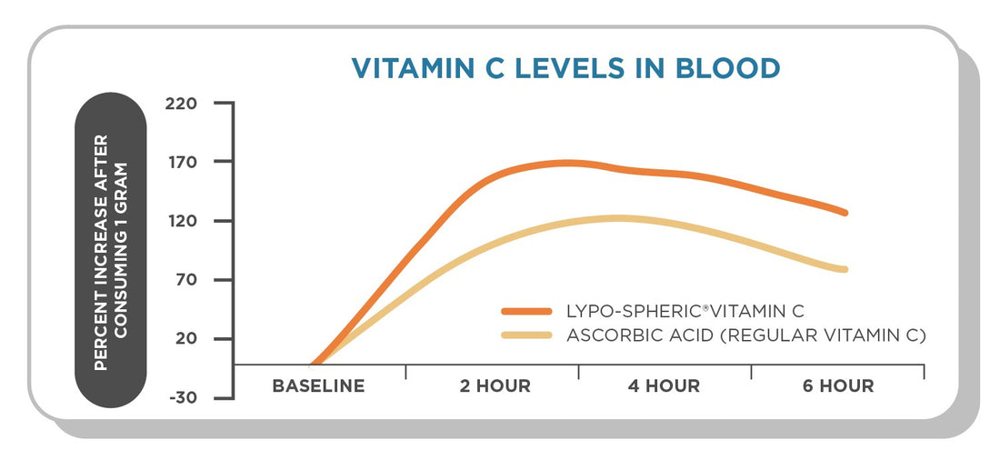 Chart: liposomal vitamin C blood levels vs regular vitamin C — superior bioavailability